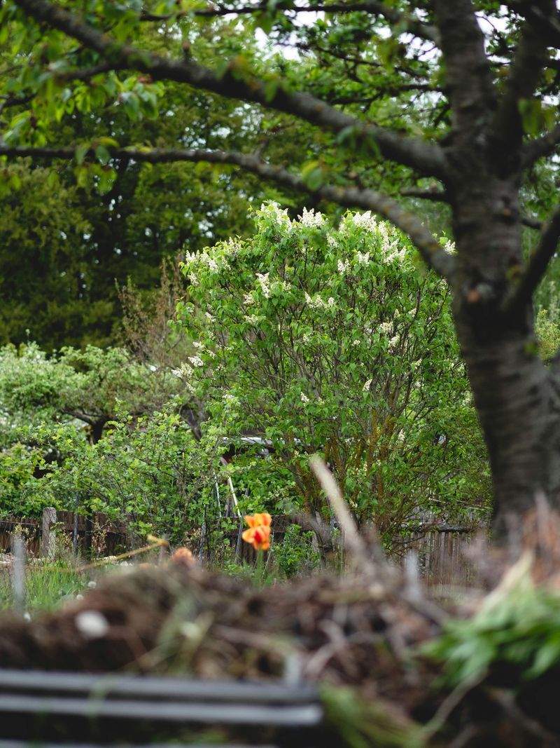 Achtsam Leben GmbH - Image 11