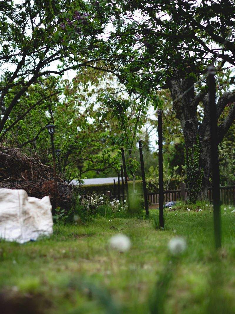 Achtsam Leben GmbH - Image 13