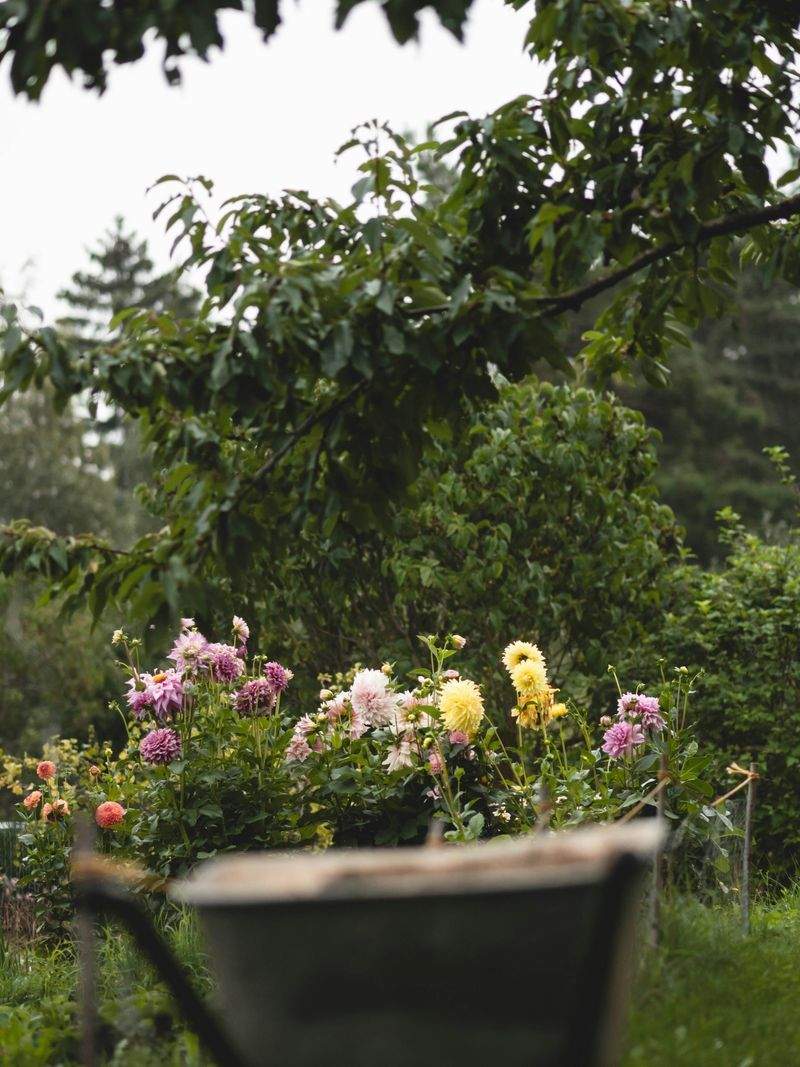 Achtsam Leben GmbH - Image 4