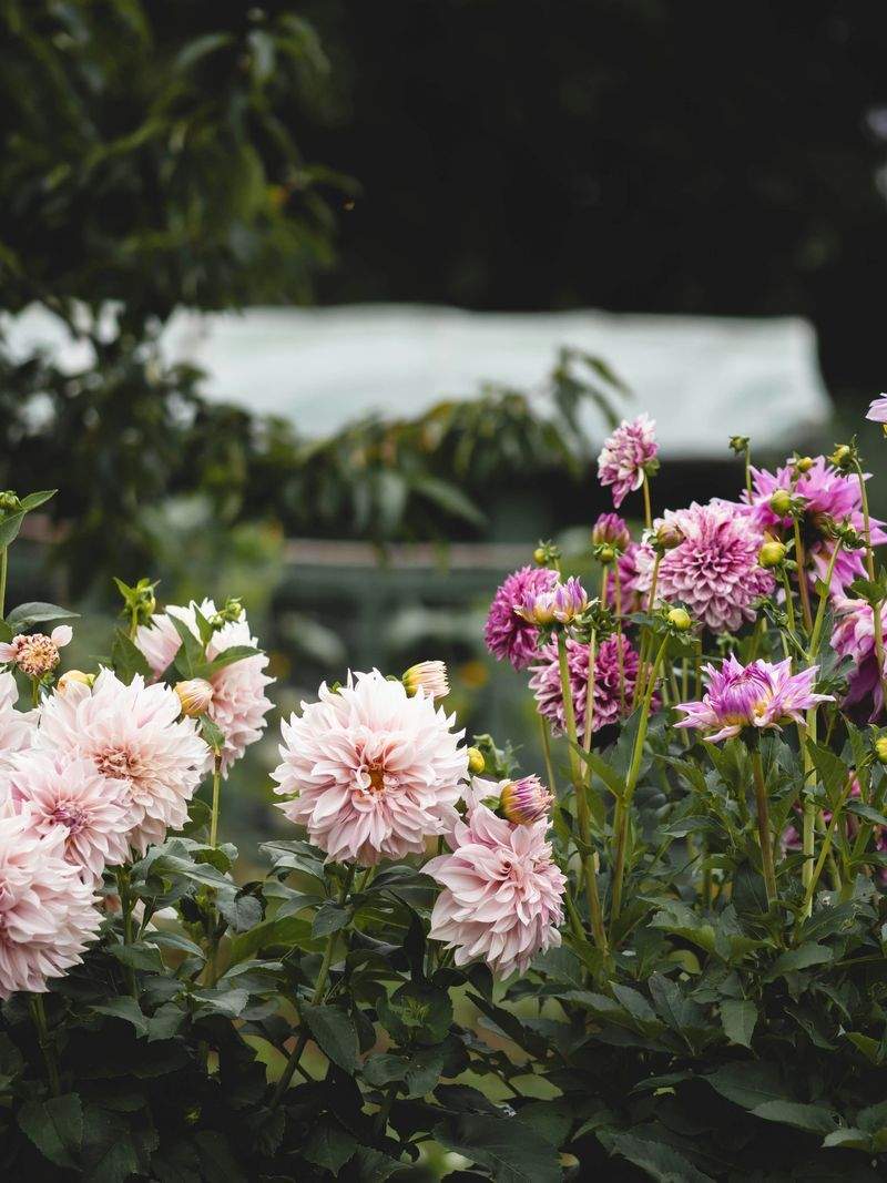 Achtsam Leben GmbH - Image 5