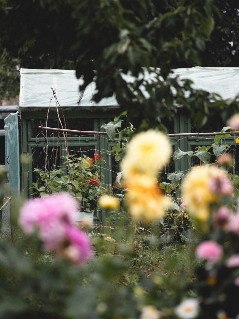 Achtsam Leben GmbH - Image 6