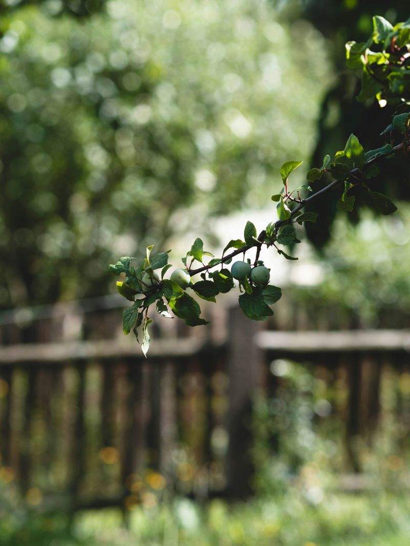 Achtsam Leben GmbH - Image 8