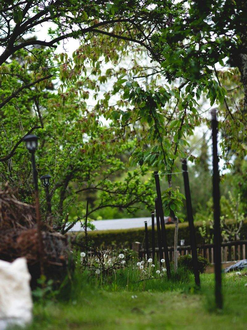 Achtsam Leben GmbH - Image 9